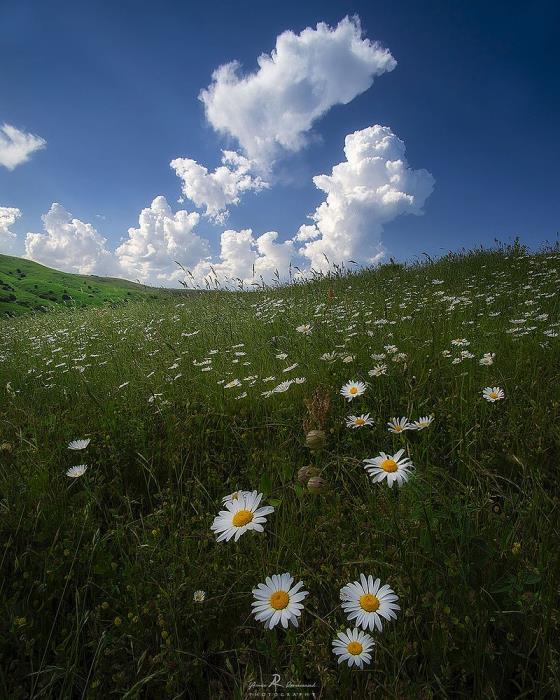 روستاهای نمین ( معرفی ۹۵ روستای نمین )-BBXmmOGRu9