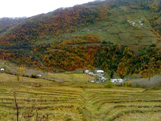 روستای پلام – فلام-BKN8bwQNF0