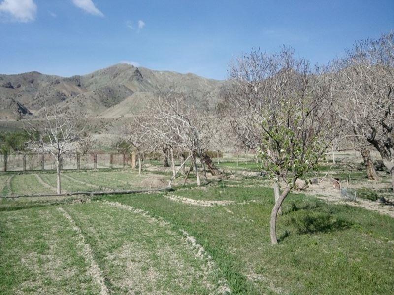 روستای استانست-BOjgcX4bD0