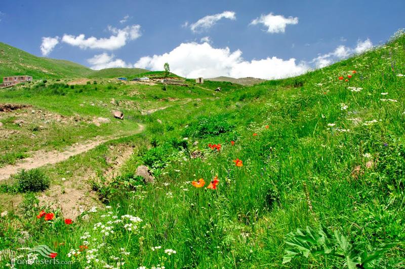 آبشار گور گور آلوارس-BPJqDPyGio