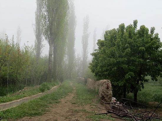 جاهای دیدنی سمنان (1)-BPoFjZrncS