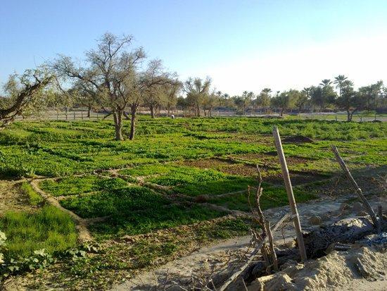 روستای توریان-BQCbIurIeY