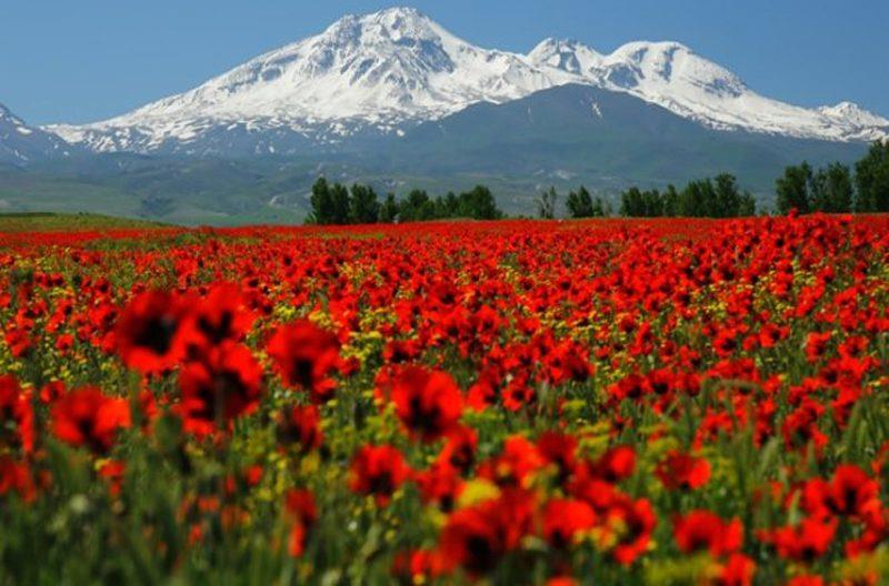 روستاهای بیله سوار ( معرفی ۲۶۸ روستای بیله سوار )-BRkMpwbP7i
