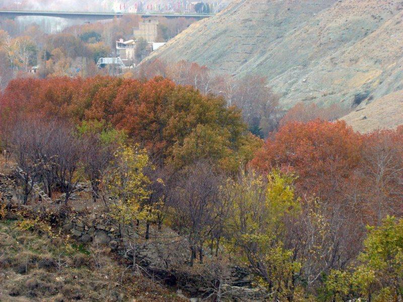 حمام بیلقان-BSTNQ7SSlm