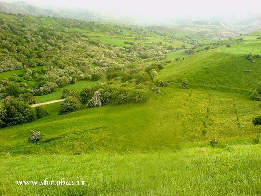 منطقه حفاظت شده میرآباد-Bvz3J9uquF