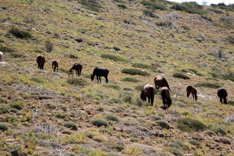روستای بیله هو علیا-C2ONtNEb89