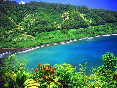 جزیره ماوی (مائویی)، زیباترین جزیره جهان-C7JZEH86Cw