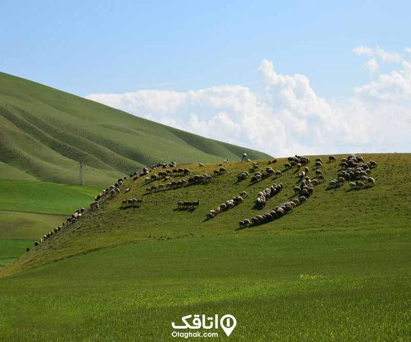 روستاهای اصلاندوز ( معرفی ۵ روستای اصلاندوز )-C9QaebLtT3