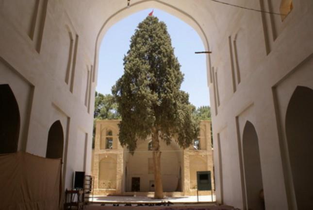 مسجد جامع نیریز-COmiPyAwW3
