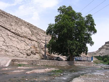 روستای چنار-CQPmOaRsjo