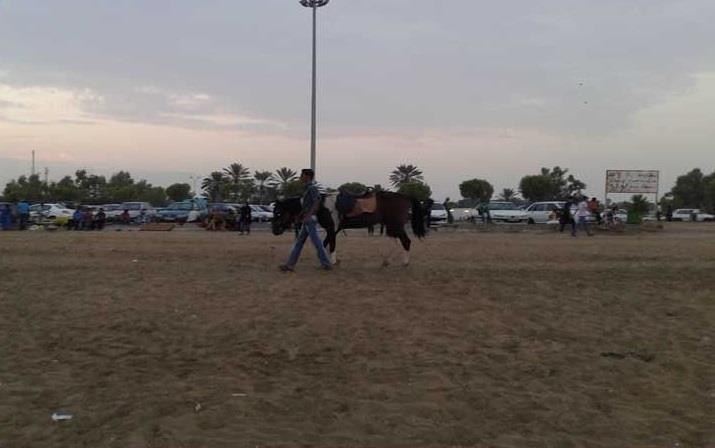 بوستان ورزش بندرعباس-CSWHS7HdPF
