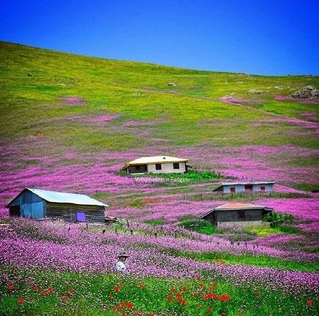 جاده اسالم به خلخال-CYMpCb9Suc