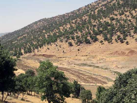 روستای نژو بانه-CbbJgKdraZ
