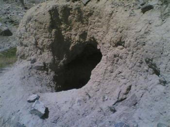 گل تپه-ChCUQr4tmT