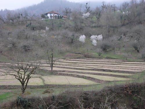 روستای جوكندان بزرگ-CiZrNbEOu3