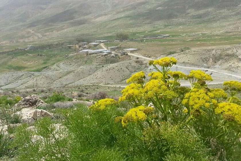 روستای كاكان-CjG4h85ntF
