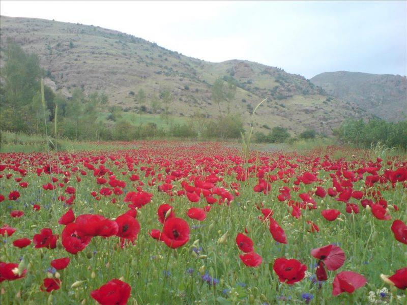 روستای پیركوه-ClaAcDOmtA