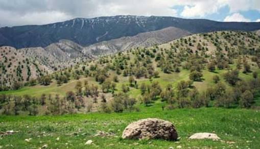 پارك جنگلی چغاسبز ایلام-CnPcq7dY1U