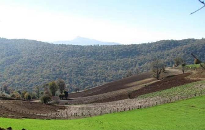 روستای چاچكام-Crm31eRVib
