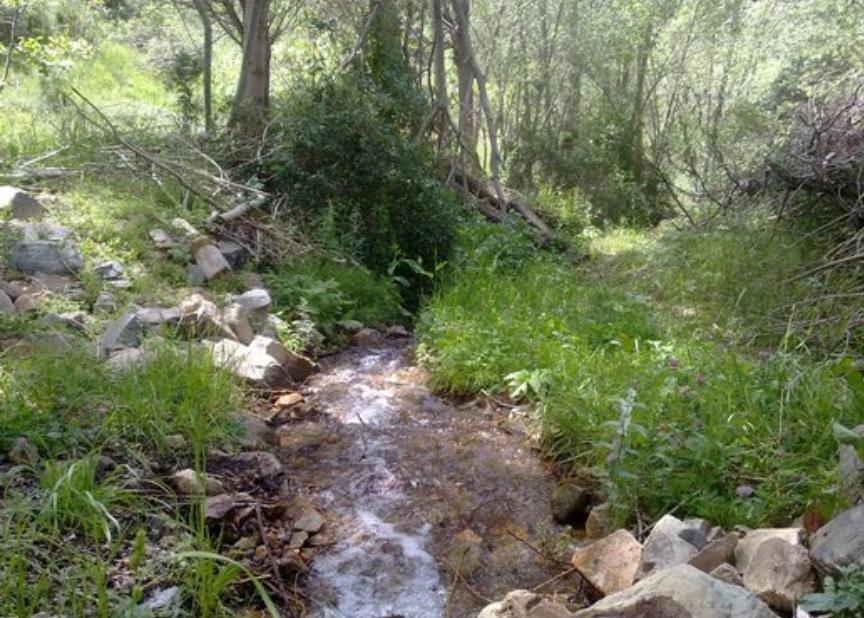 روستای آستمال-CutdxMDhX5