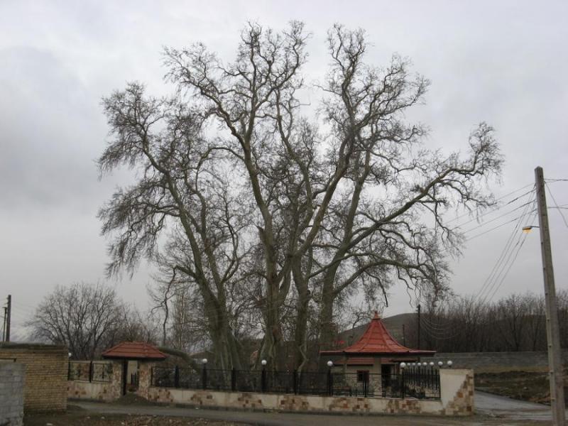 روستای مهرآباد رودهن-D6zOb3QWZE