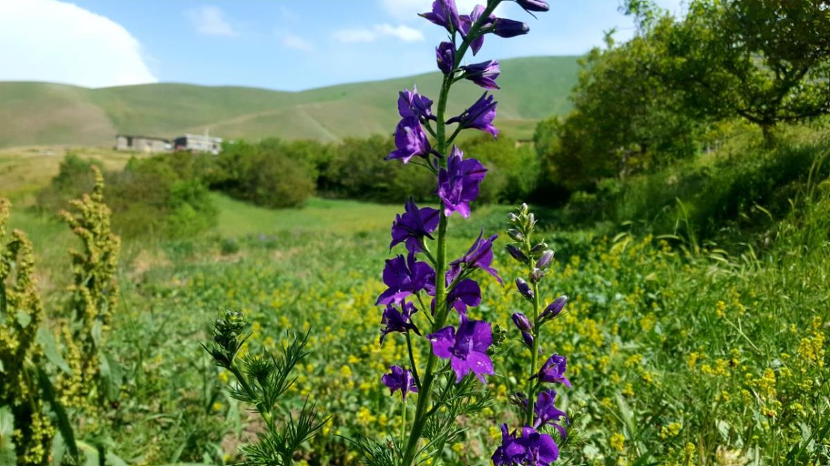 روستاهای گرمی ( معرفی ۲۲۰ روستای گرمی )-D8V7uRlnVF