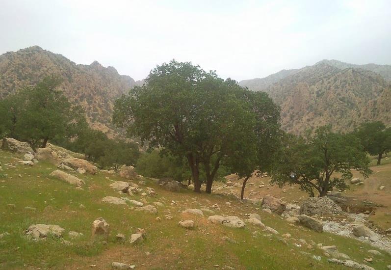 منطقه حفاظت شده كوه دیل-DC5yxioKVc