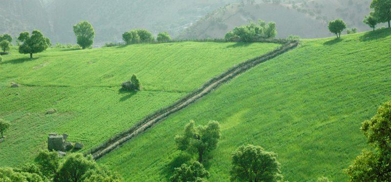 روستای پراشكفت-DCogFSEdny