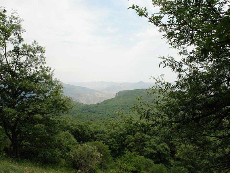 روستای دشت جاجرم-DHTyUypiHU