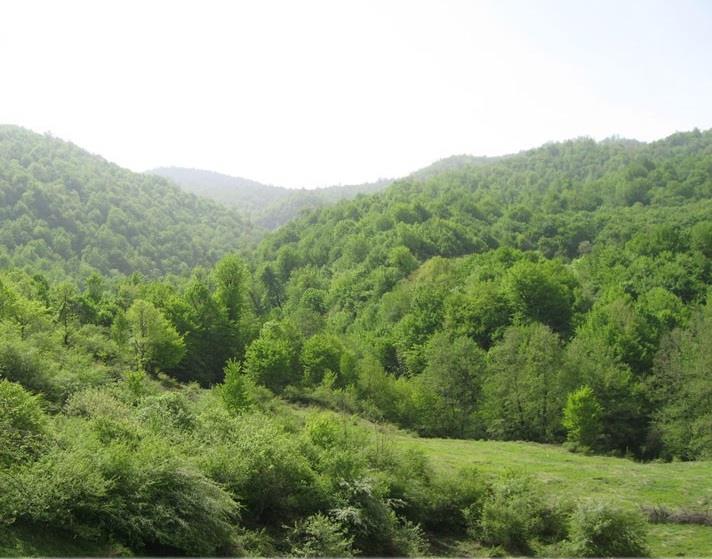 روستای چلی علیا-DYvglU4Pgz