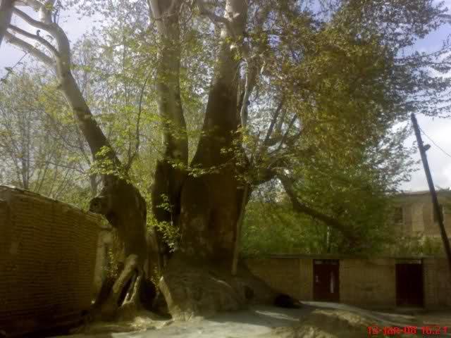 روستای زرد خشوئیه-DZnkcyqZ6w