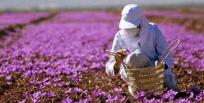 جذابیت های فرهنگی و توریستی ایران به چشم توریست ها-DaWMwVDSyB