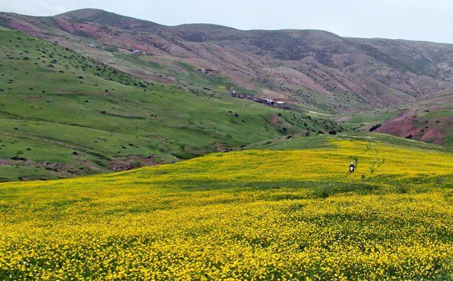 روستای هالیدشت و تصویر زیبا از جاده هالیدشت-DbHAeHAg2Y