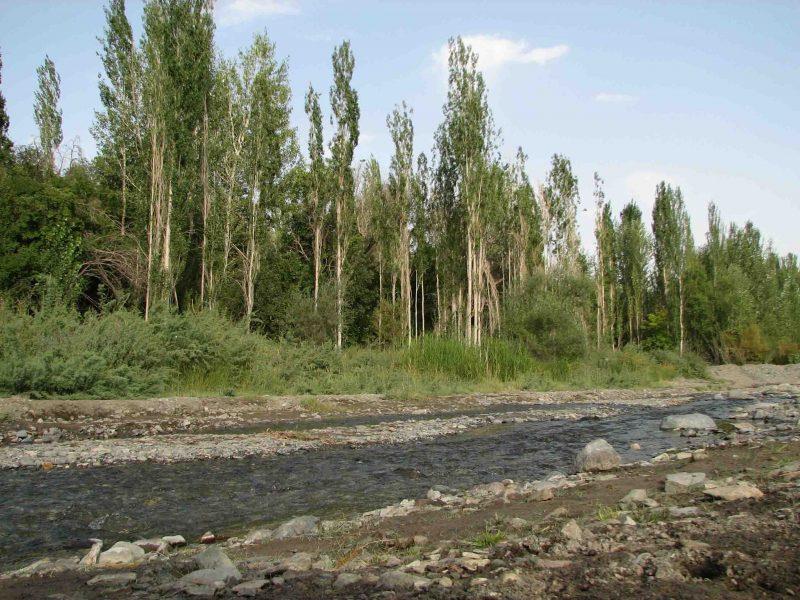 روستای نامق-DdcgTfzpcw