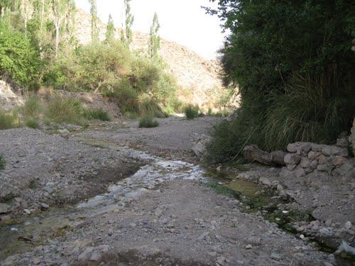 ‌طبیعت گردی ییلاق مرغك‌-Ddxg9ccciF