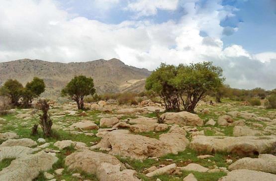 آبشار تسوج استان كهكیلویه و بویراحمد, یاسوج-DeORg6uzfz