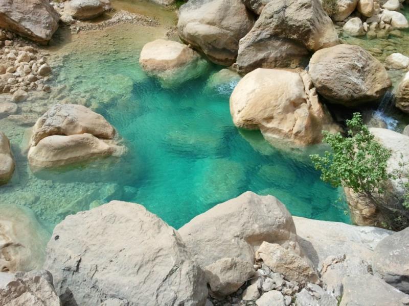 تنگ هرایرز-DfoJhhx99W
