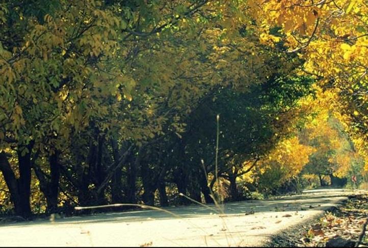 روستای بیدخوان-DrTj9Cy2H9