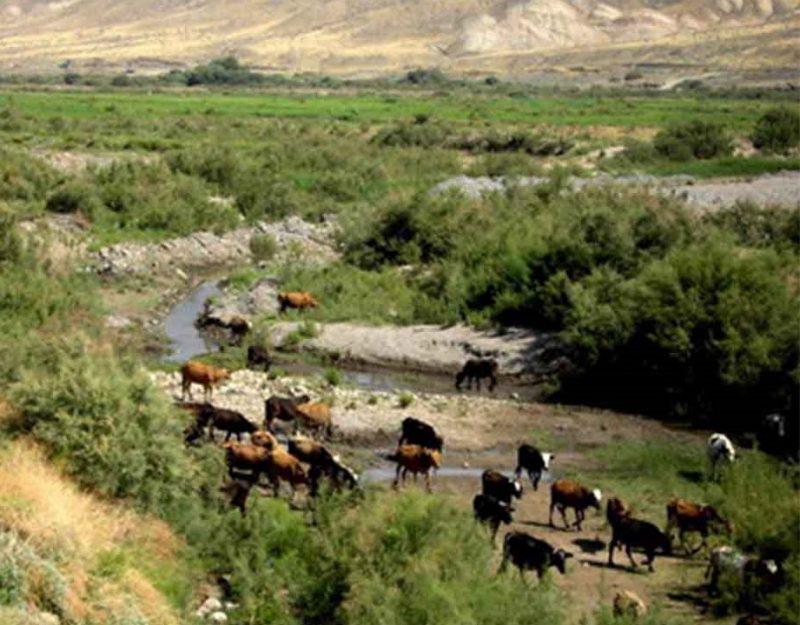 رزرو هتل خانه » استان ها و شهرهای ایران » استان كردستان » روستای چرنو  روستای چرنو-DynWKGDlG5