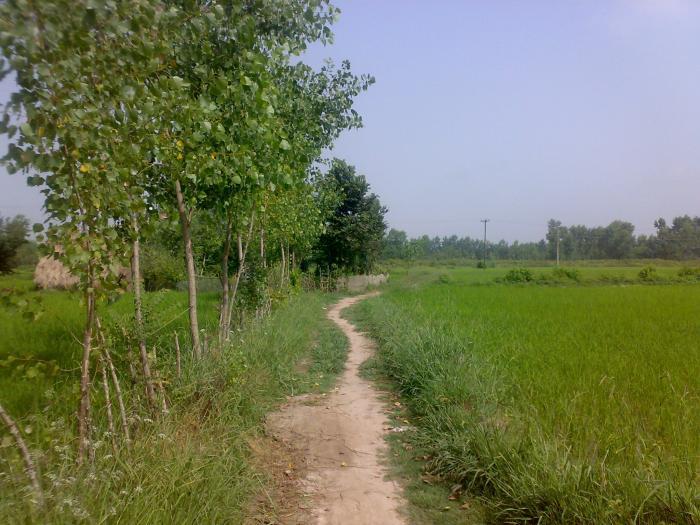 روستای پنچاه-E3kTiSKp2X