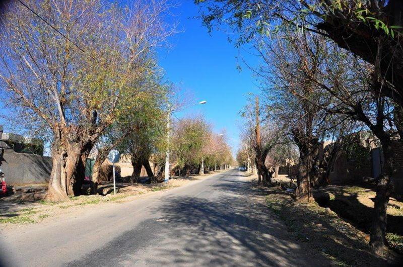 روستای باغستان تفت-E7HBPz8cE4