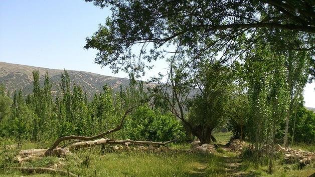روستای سرخك سنجابی-E82R2jZpTv