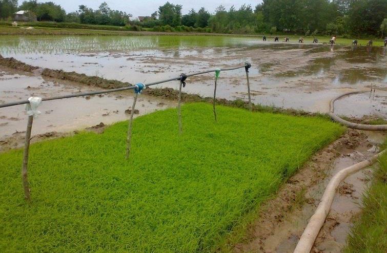 روستای علی بزایه-EIKhMKcbo4