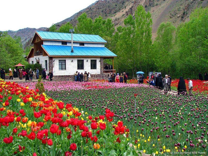 باغ گل روستای گرماب-ELb7fnJUU4