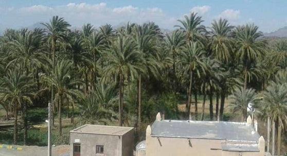كارواندر ، قطب گردشگری خاش-ESKi4s9LEI