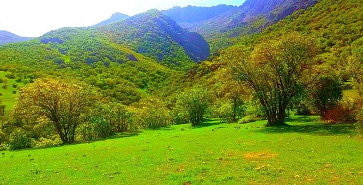 روستای سرمرغ سفلی خرم آباد استان لرستان, خرم آباد-EVSiI51Mel