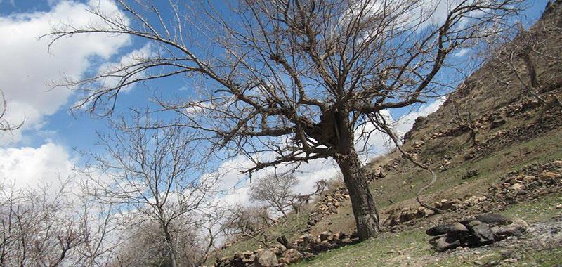 روستای سنو گناباد-EW0tbKxTIm