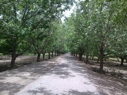 روستای كلدان-EYm7OqmCo1