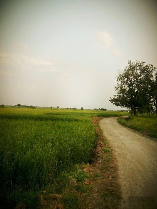 روستاهای فریدونكنار ( معرفی ۲۱ روستای فریدونكنار )-EeJbGiDXul