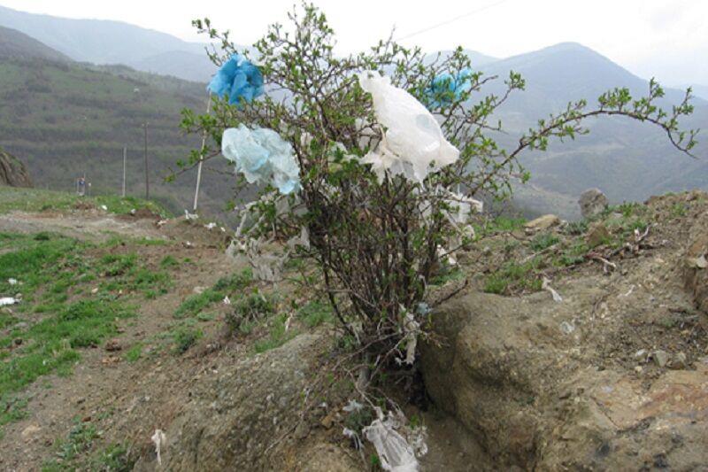 هفته زمین پاك؛ فرصتی برای چاره‌جویی درباره قاتلان خاموش طبیعت-EfDovjp8YL